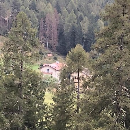 B&B Le Stagioni Di Stava Tesero Kültér fotó