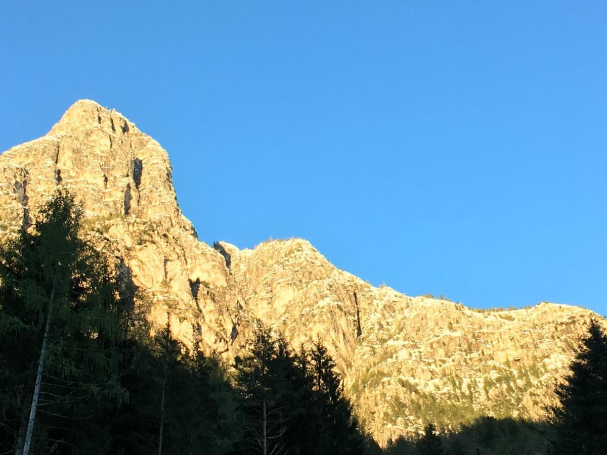 B&B Le Stagioni Di Stava Tesero Kültér fotó