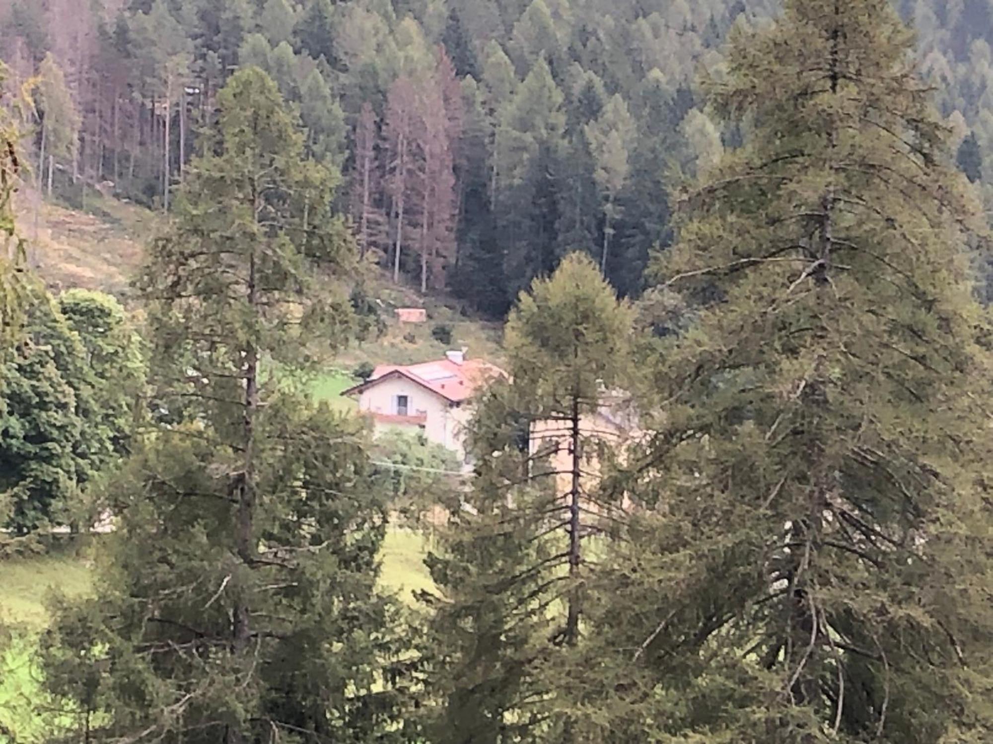 B&B Le Stagioni Di Stava Tesero Kültér fotó